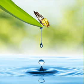 Fearless Speaking E-Course